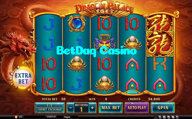 available types of BetDaq Casino bet including pre-match live express and system bets