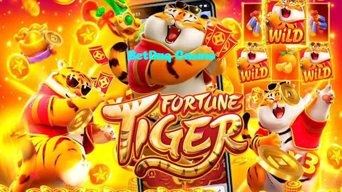 BetDaq Casino casino presented on mobile device in Pakistan with slots and live games
